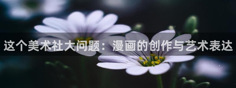 男男腐漫画网：这个美术社大问题：漫画的创作与艺术表达