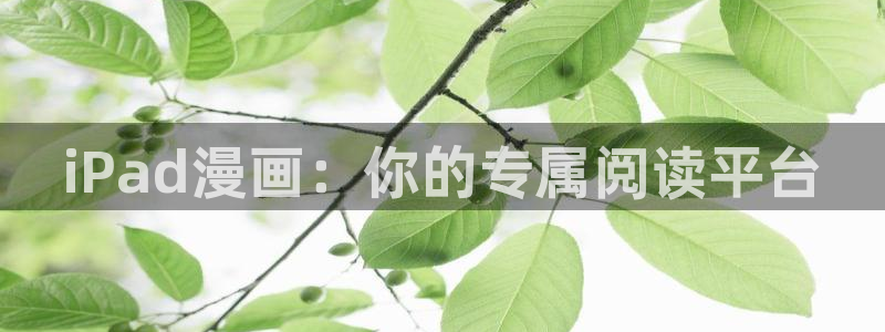 日腐漫画网站：iPad漫画：你的专属阅读平台