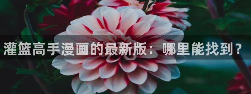bl腐漫画网：灌篮高手漫画的最新版：哪里能找到？